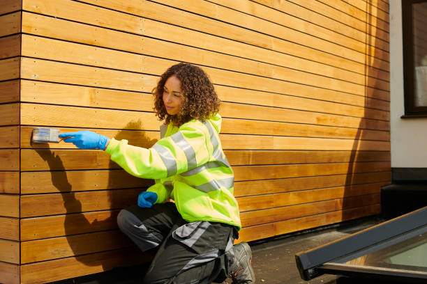 Best Stucco Siding  in Albuquerque, NM